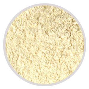 Dehydrated Garlic Powder