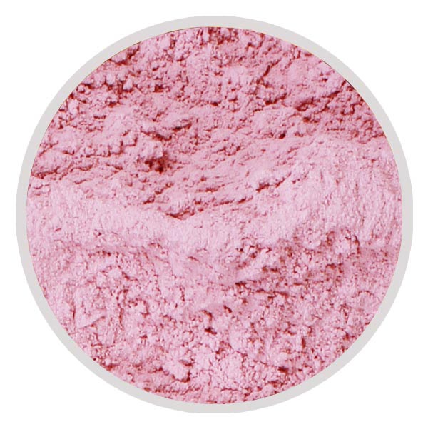 Dehydrated Pink Onion Powder