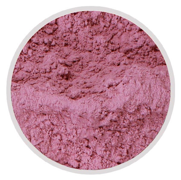 Dehydrated Red Onion Powder