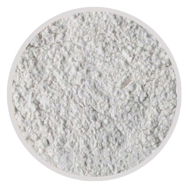 Dehydrated White Onion Powder